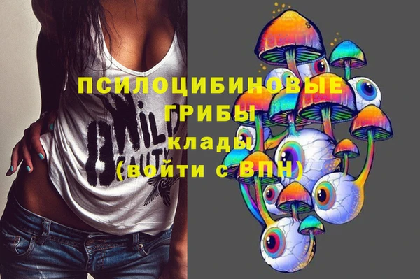 наркотики Белокуриха