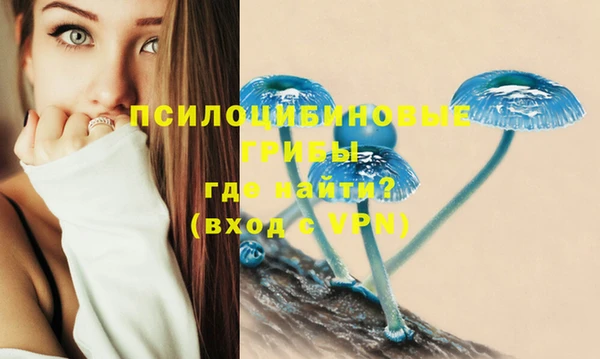 наркотики Белокуриха