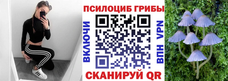 наркотики  Кемерово  Галлюциногенные грибы Psilocybine cubensis 